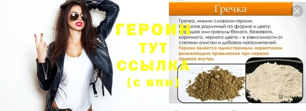 прущие грибы Бородино