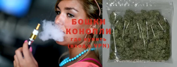 крисы Бугульма