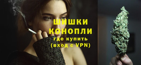 прущие грибы Бородино
