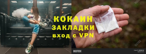 прущие грибы Бородино