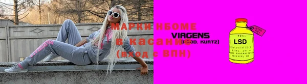 прущие грибы Бородино