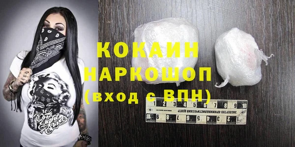 прущие грибы Бородино