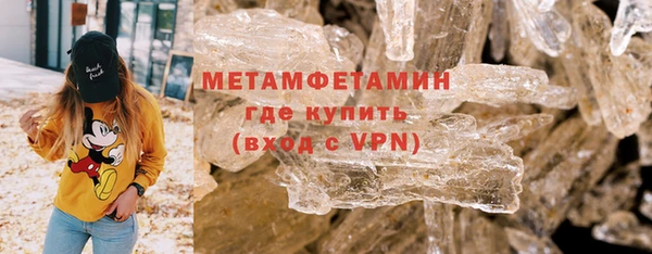 прущие грибы Бородино