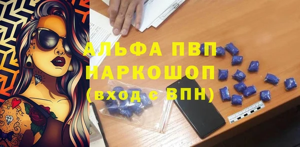 прущие грибы Бородино