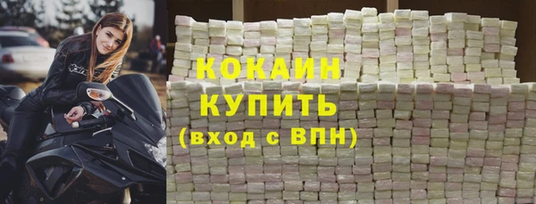 прущие грибы Бородино