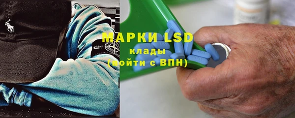 крисы Бугульма