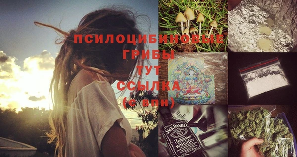 прущие грибы Бородино